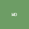 Western Digital (bStocks Token